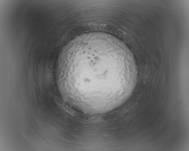 X0000082141154200702092118