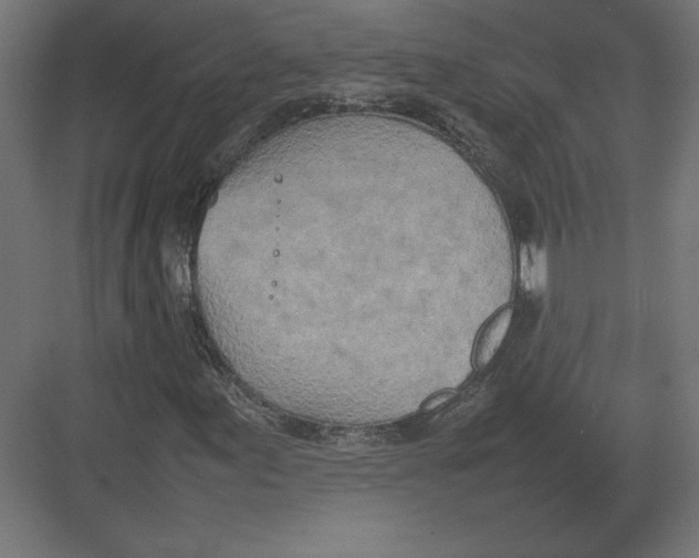 X0000082141155200702092118