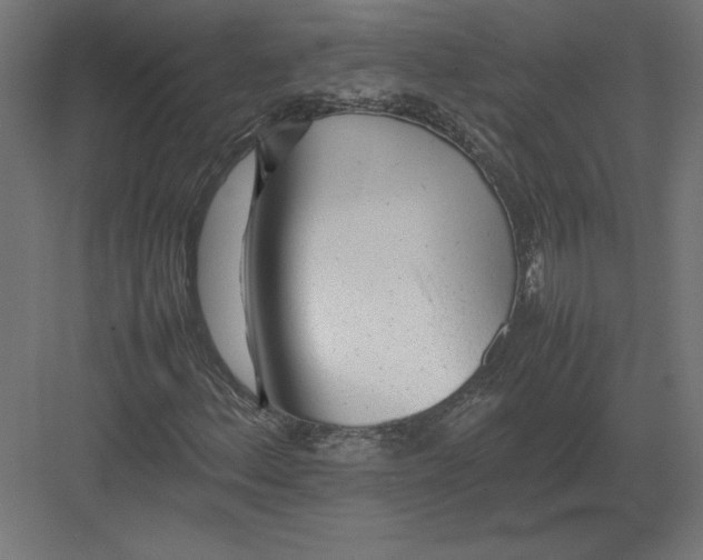 X0000082141156200702092118