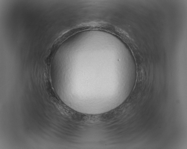 X0000082141158200702092118