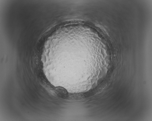 X0000082141159200702092118