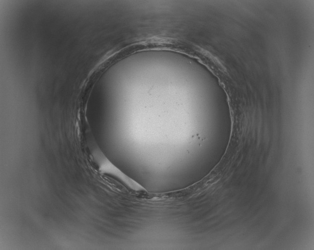 X0000082141160200702092118