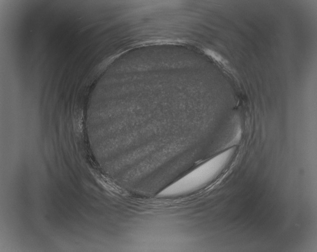 X0000082141161200702092118