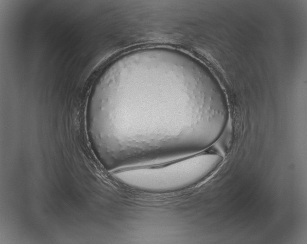 X0000082141163200702092118