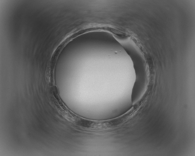 X0000082141165200702092118