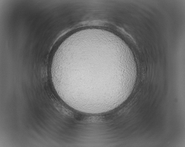 X0000082141166200702092118