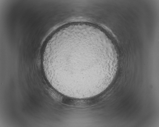 X0000082141167200702092118