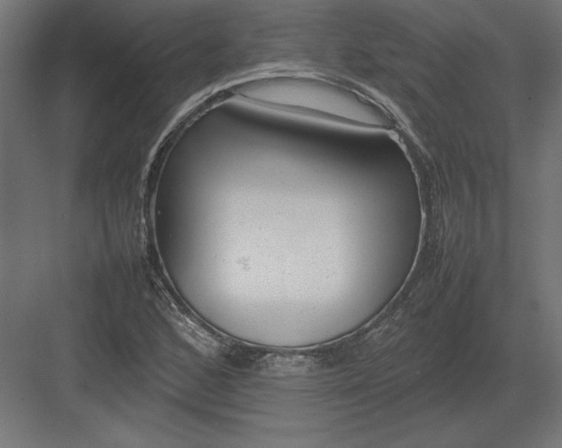 X0000082141168200702092118