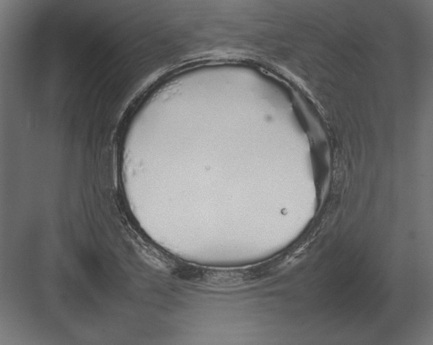 X0000082141171200702092117