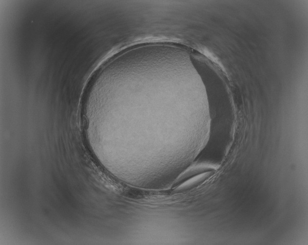 X0000082141173200702092117