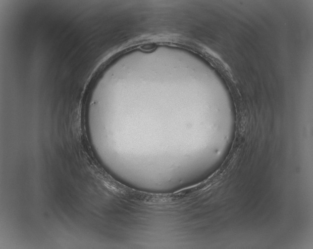 X0000082141174200702092117