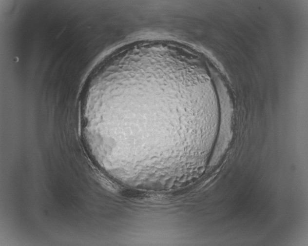 X0000082141175200702092117