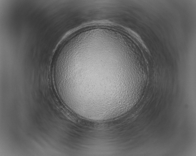 X0000082141176200702092117