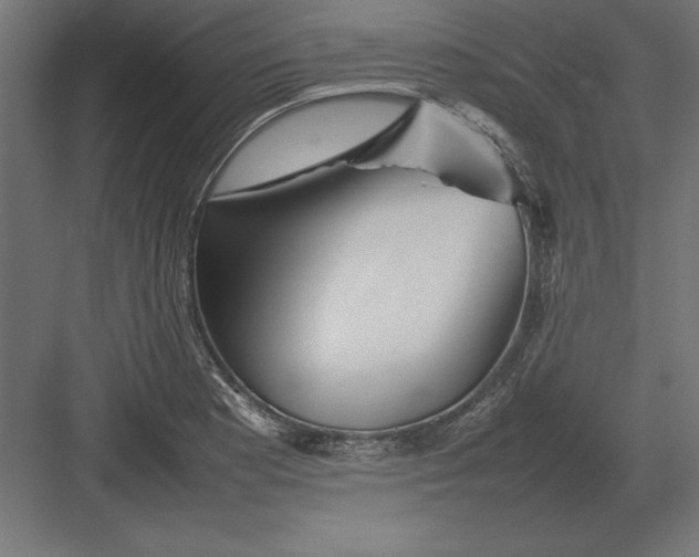 X0000082141177200702092117