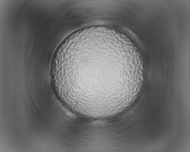 X0000082141178200702092117