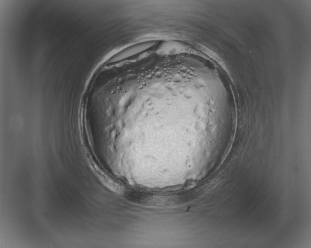 X0000082141179200702092117