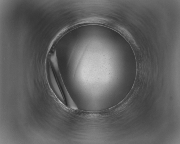 X0000082141180200702092117