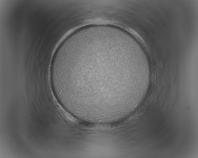 X0000082141183200702092117