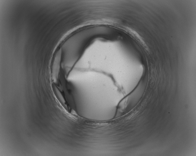 X0000082141184200702092117