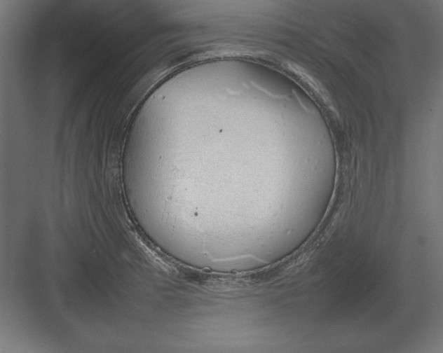 X0000082141185200702092117