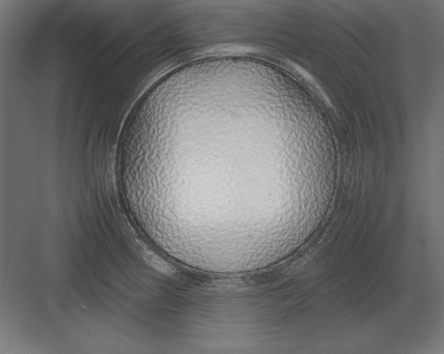 X0000082141186200702092117