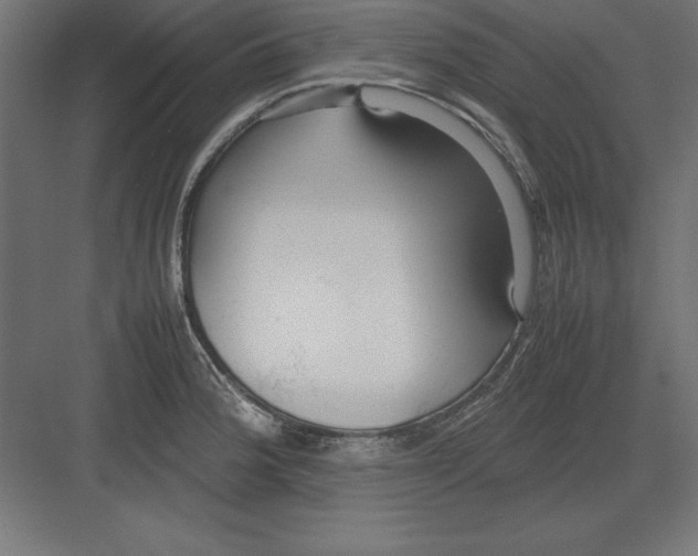 X0000082141188200702092117