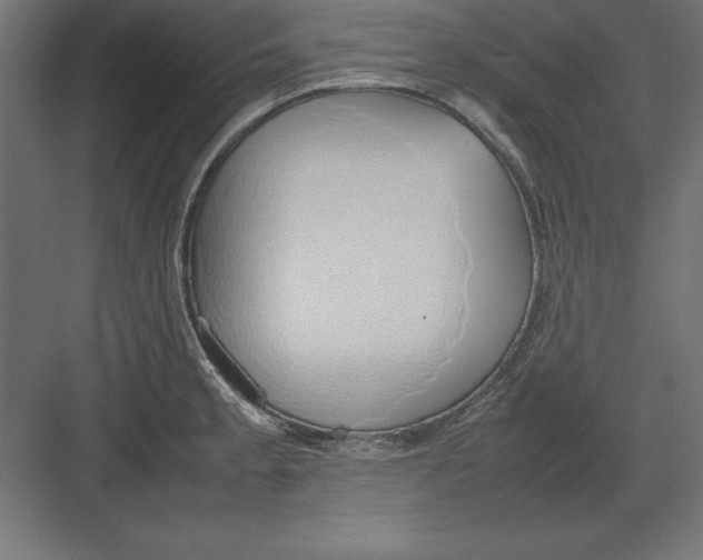 X0000082141189200702092117