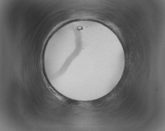 X0000082141191200702092117