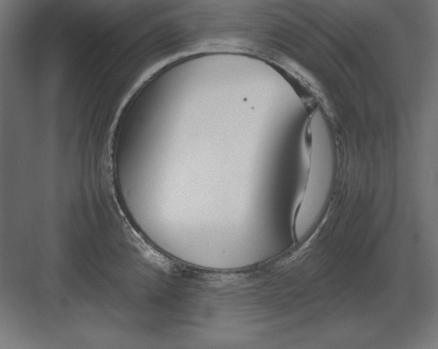 X0000082141192200702092117