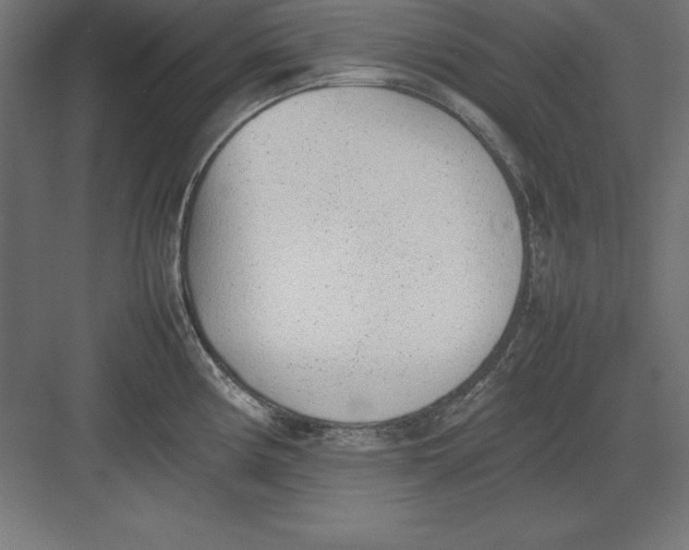 X0000082141194200702092117