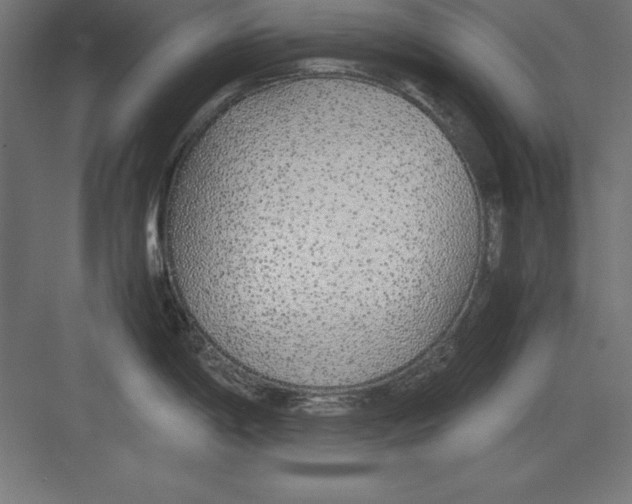 X0000082141198200702092117