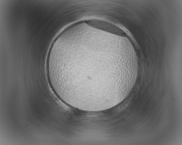 X0000082141199200702092117