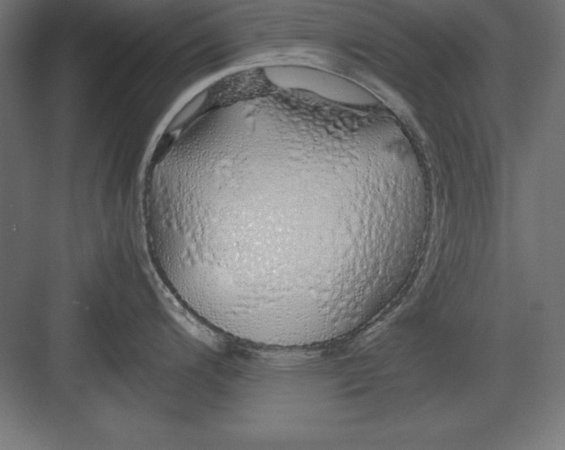 X0000082141200200702092117