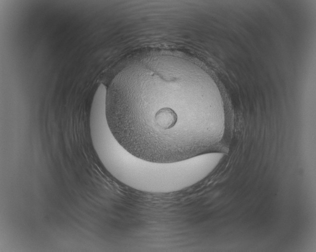 X0000082141202200702092116