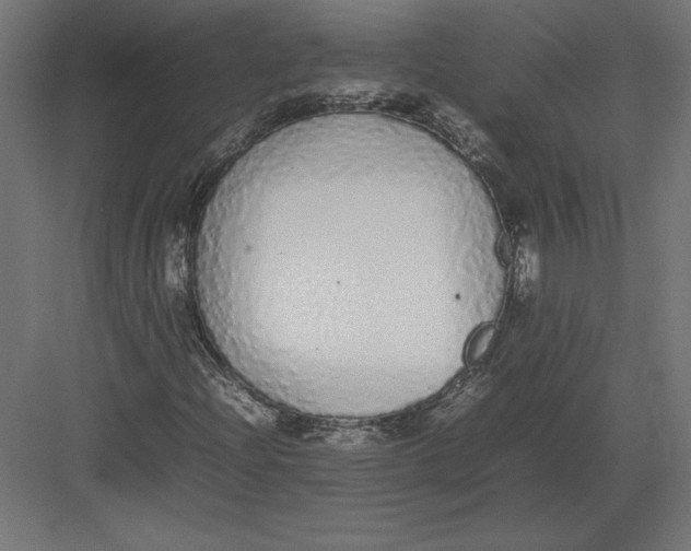 X0000082141204200702092116