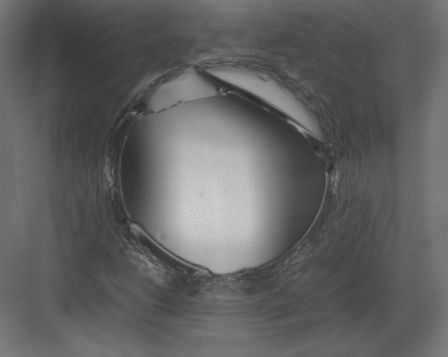 X0000082141206200702092116