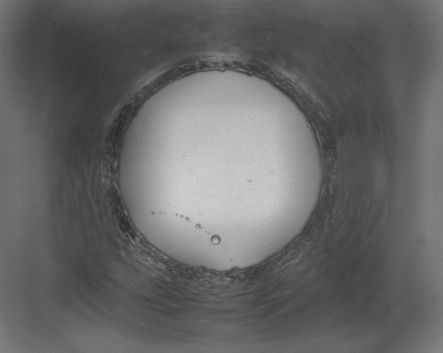 X0000082141207200702092116