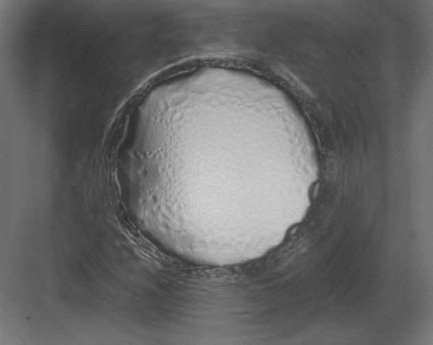 X0000082141208200702092116