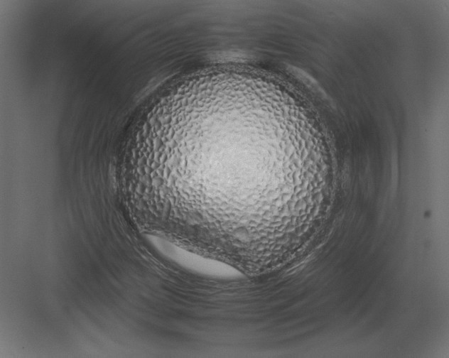 X0000082141209200702092116