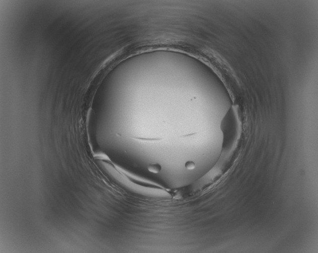 X0000082141210200702092116