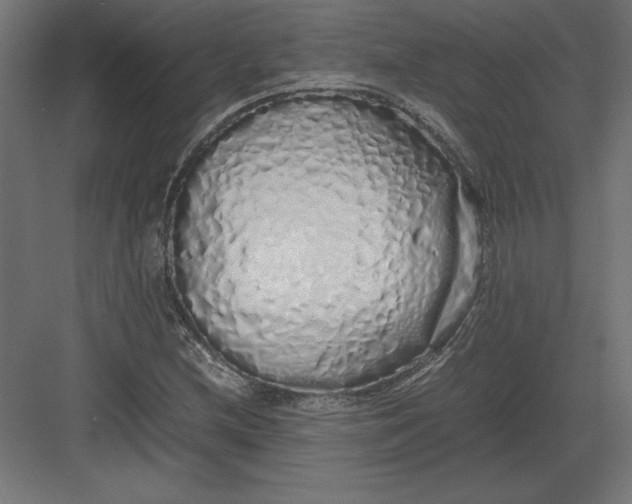 X0000082141212200702092116