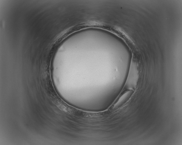 X0000082141213200702092116