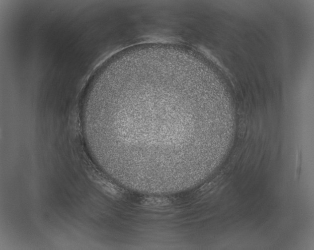 X0000082141215200702092116