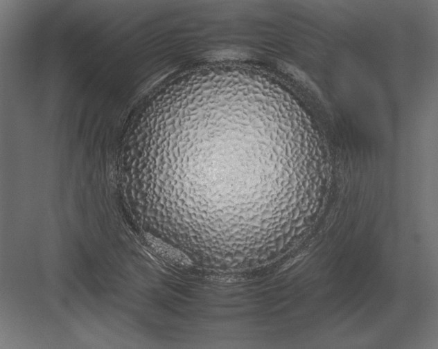 X0000082141217200702092116