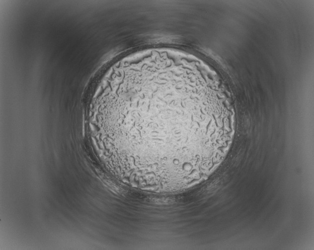 X0000082141219200702092116