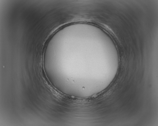 X0000082141220200702092117