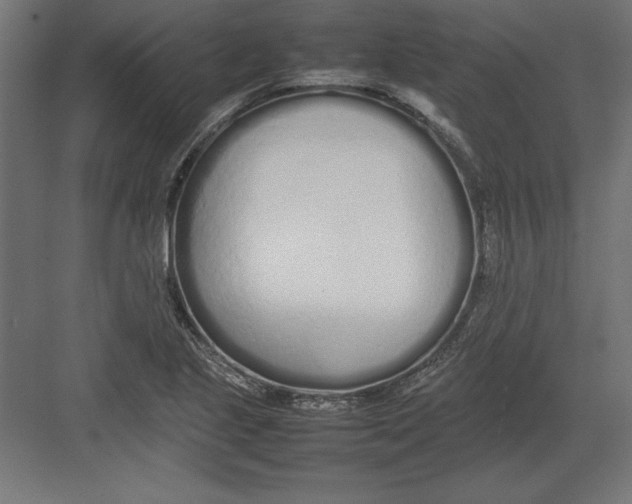 X0000082141221200702092117