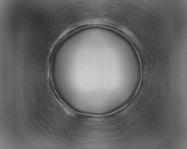 X0000082141224200702092117