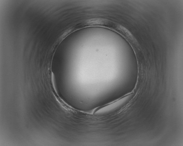 X0000082141225200702092117