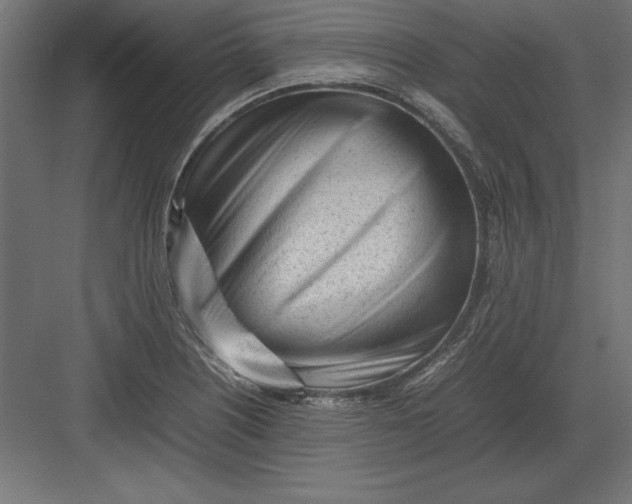 X0000082141226200702092117